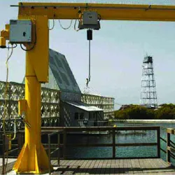 Cranes in Coimbatore